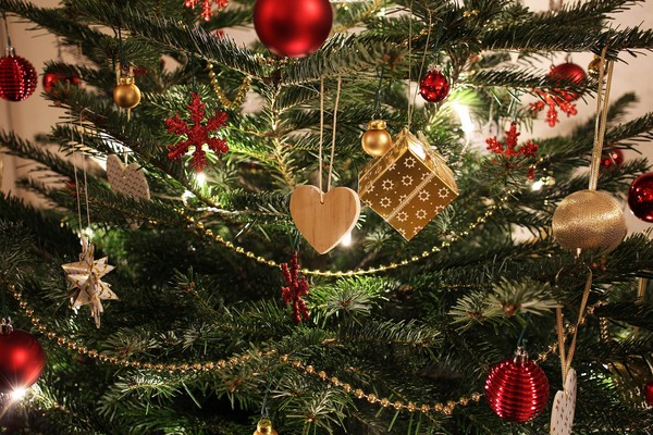 ▲▼聖誕樹、聖誕節、           。（圖／翻攝自pixabay）