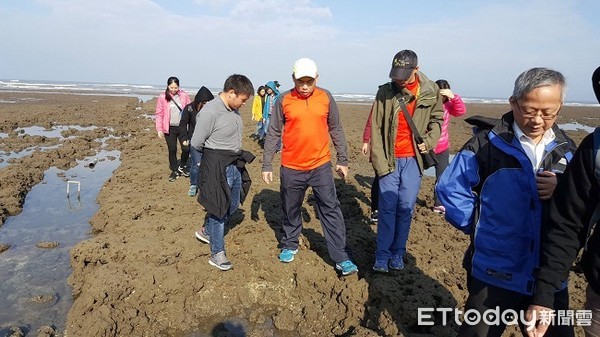 ▲▼海洋大學師生及政大社科院院長江明修帶領的一群關心台灣社會、環保問題的夥伴前來關懷桃園大潭藻礁。（圖／潘忠政提供）