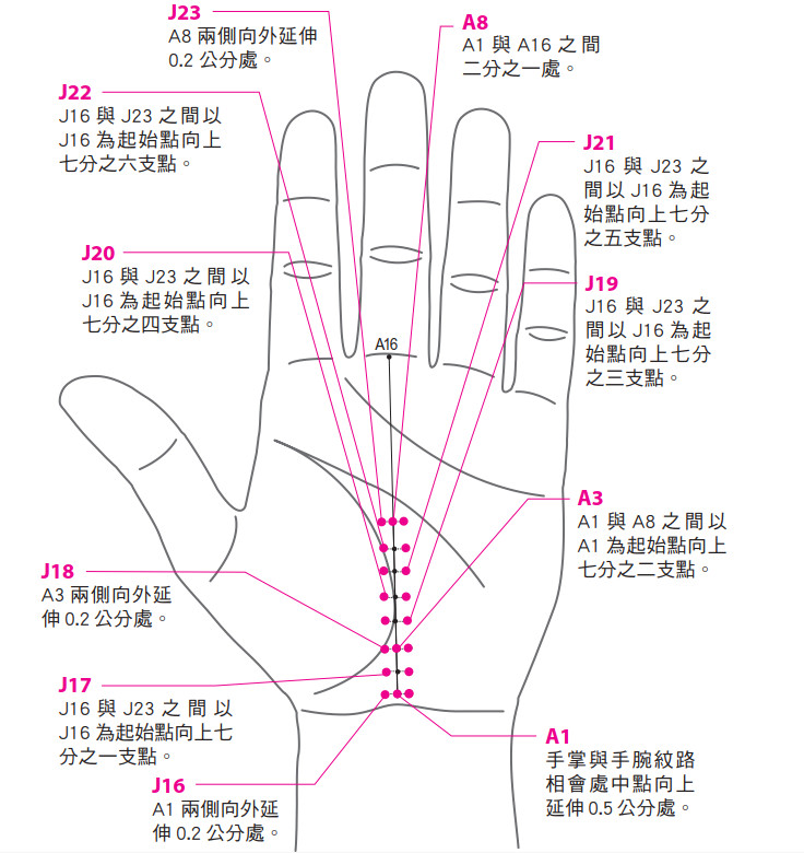 ▲《全圖解手針》書摘。（圖／和平國際提供）