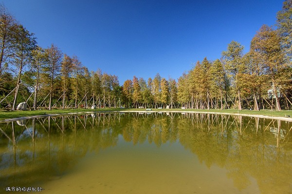 ▲新竹關西大樂之野景觀餐廳賞落羽松。（圖／滿分的旅遊札記提供）