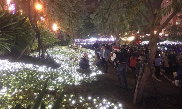 ▲▼遊客踏進柳川聖誕樹旁的草坪。（圖／翻攝自臉書／周廷彰）