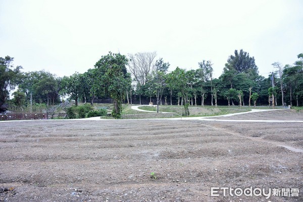 花蓮市介壽眷村旁規劃社區花園將近完工，市長魏嘉賢表示，將規劃花海讓美崙地區也有展現百花齊放、綠意盎然的園地，吸引更多觀光客。（圖／花蓮市公所提供）