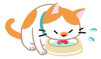 【喵喵康健】危險！糖尿病貓的4大警訊！（圖／毛起來 MaoUp）