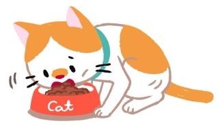 【喵喵康健】危險！糖尿病貓的4大警訊！（圖／毛起來 MaoUp）