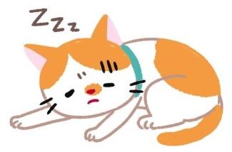 【喵喵康健】危險！糖尿病貓的4大警訊！（圖／毛起來 MaoUp）