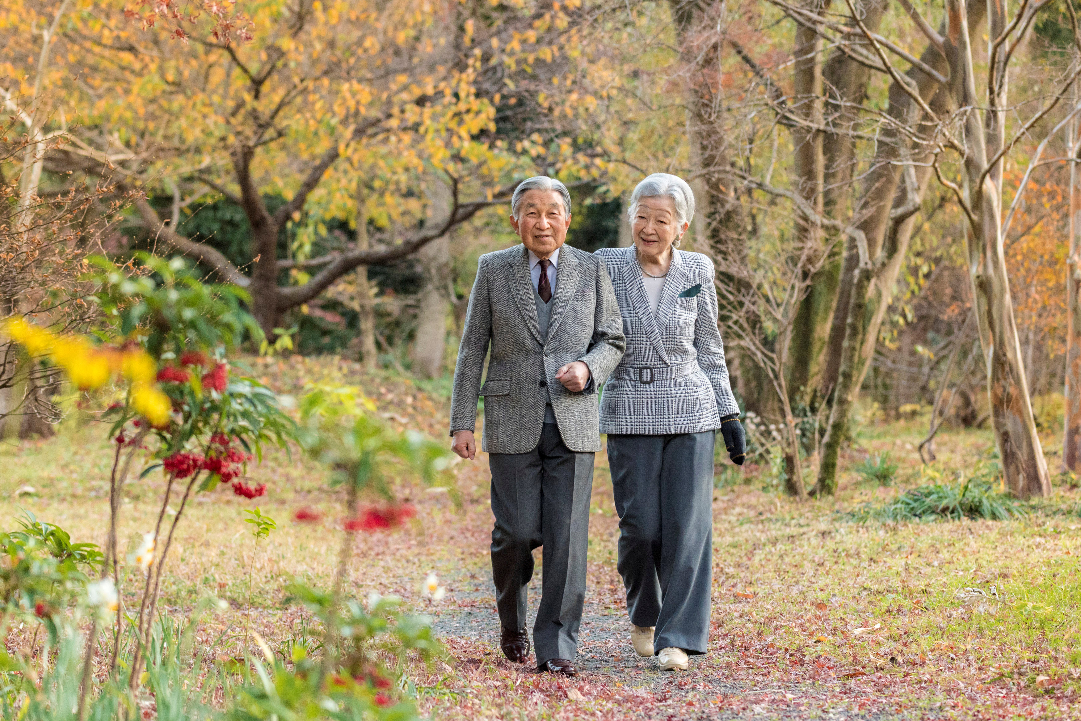 ▲▼明仁天皇夫婦、德仁夫婦             。（圖／路透社）