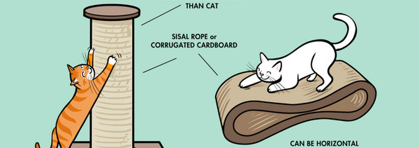 （圖／吉兒提供）