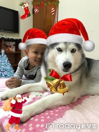 餵飽愛犬自己嗑雞排...人性化月月「深邃雙眼皮」狂青。（圖／網友陳菁提供，請勿隨意翻拍，以免侵權。）