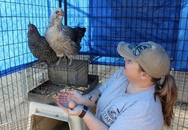 每個人都有能力付出！收容所遭野火重創　捐助品堆滿倉庫（圖／Humane Society of Ventura County）