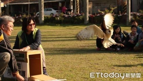 農業局森林及自然保育科長李婉瑩為草鴞開箱。（圖／台南市農業局提供）