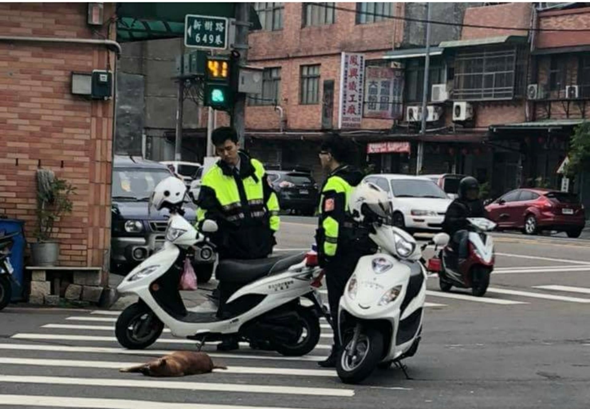 ▲▼不捨浪浪橫屍馬路！2暖警停車守護　網淚：謝謝波麗士。（圖／爆料公社）