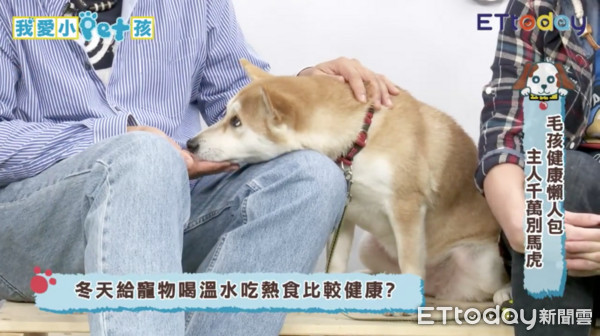 ▲熱食和溫水對狗狗不一定好。（圖／播吧／我愛小PET孩）