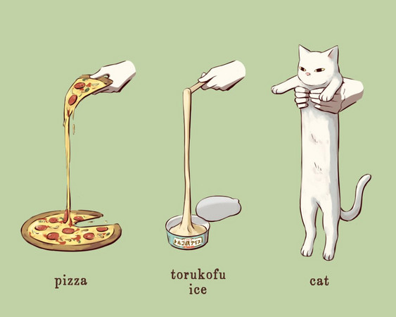 貓咪到底是什麼生物？　原來跟披薩、土耳其冰淇淋同款（圖／twitter @avogado6）