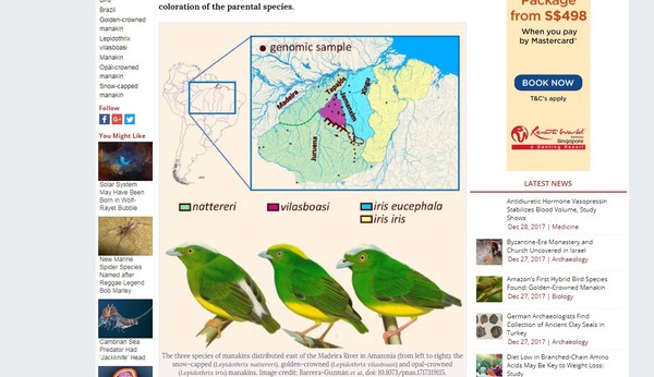 ▲18萬年前就出現　亞馬遜森林發現首隻雜交鳥類。（圖／翻攝science）