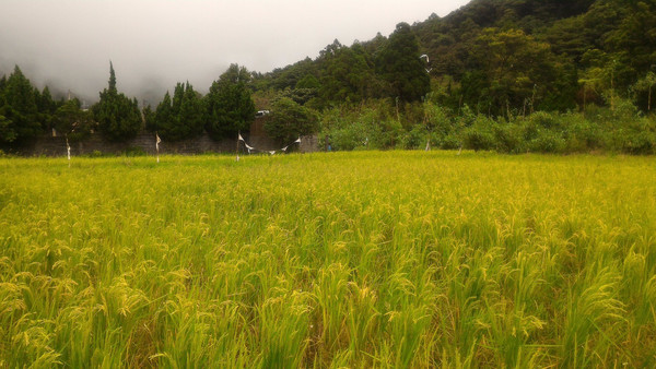 ▲（圖／臺北市政府工務局大地工程處）