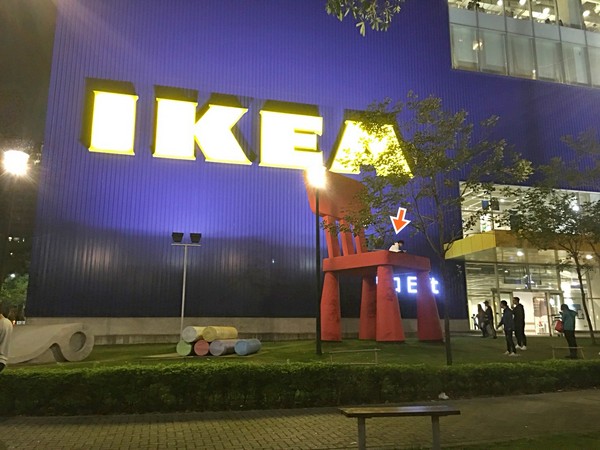 ▲▼坐上台中IKEA巨椅！「神奇男孩」孤單滑手機　5000網友驚呆。（圖／翻攝爆料公社）