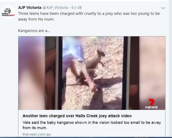 扯尾勒頸賞巴掌！　澳洲惡少年虐打袋鼠寶寶。（圖／翻攝自推特）