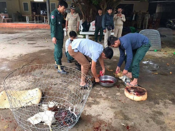 ▲92隻雞參加鬥雞「判死刑」　抗議者衝去刑場「雞肉已吃光」。（圖／翻攝Hing Soksan臉書）