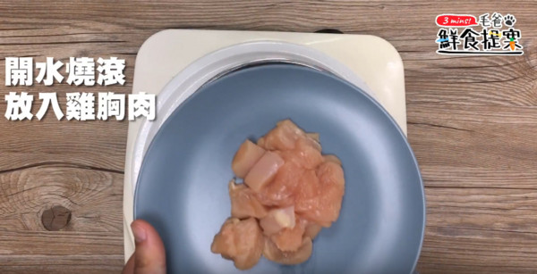 美味又健康的汪汪好料理—燕麥雞肉粥！（圖／毛起來 MaoUp）