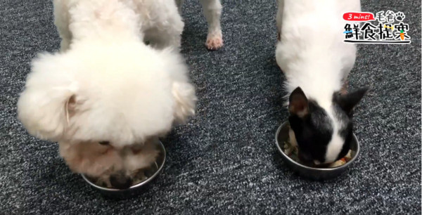 美味又健康的汪汪好料理—燕麥雞肉粥！（圖／毛起來 MaoUp）