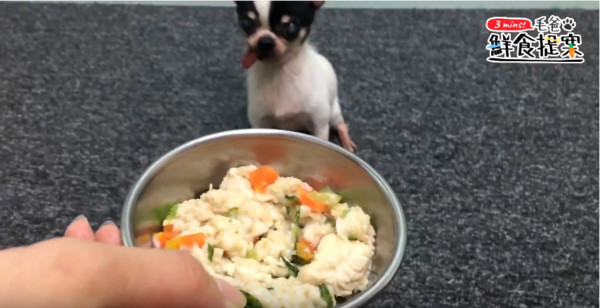 美味又健康的汪汪好料理—燕麥雞肉粥！（圖／毛起來 MaoUp）