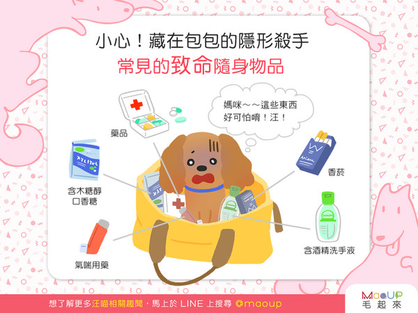 【日常危險】常把狗狗放在手提包裡嗎？當心致命物品在裡面！（圖／毛起來 MaoUp）