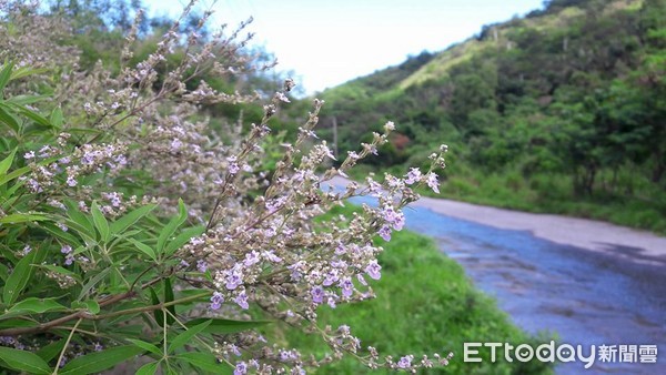 台灣黑熊大啖8箱蜜。（圖／授權自天然蜜坊粉絲專頁）