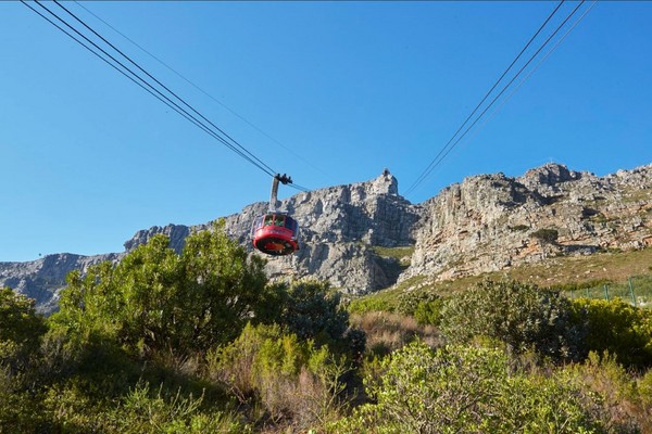 ▲▼港女南非攀岩亡。（圖／翻攝自@TableMountainCa推特）