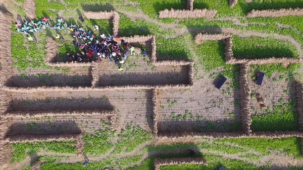 ▲▼嘉義縣太保市「稻草迷宮」遭人放火燒掉。（圖／翻攝自嘉義縣政府官網。）