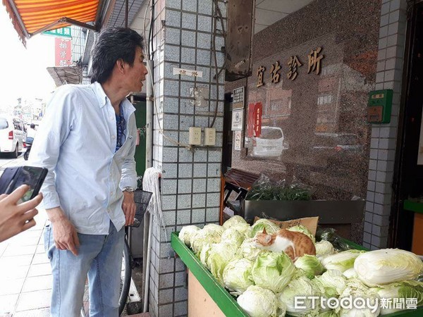 ▲這店員怎麼都不理人！橘貓擺克臉「坐白菜攤堆」：本喵不賣（圖／網友王志忠提供）