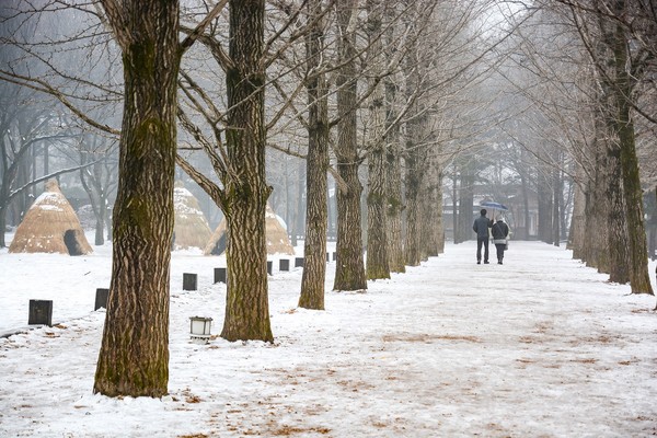 ▲高雄直飛日韓，冬日瘋玩雪上活動。（圖／五福旅遊、shutterstock.com）