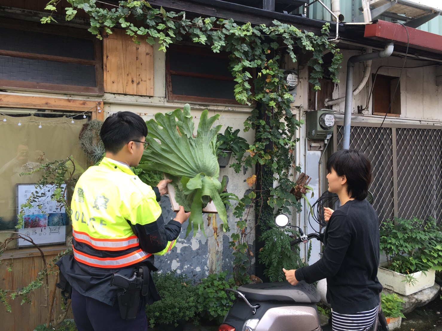 賊以外套裹鹿角蕨盆栽花蓮特色咖啡店險失打卡賣點 Ettoday地方新聞 Ettoday新聞雲