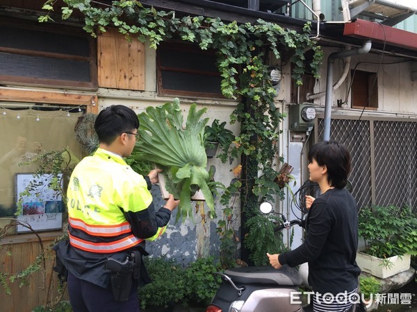 遭竊店家是花蓮知名的特色咖啡店，採獨特的植物牆為賣點，每天吸引許多遊客慕名前來朝聖打卡，幸好警方及時逮到竊嫌，否則這盆鹿角蕨盆栽就被低價變賣了。（圖／花蓮縣警察局提供）