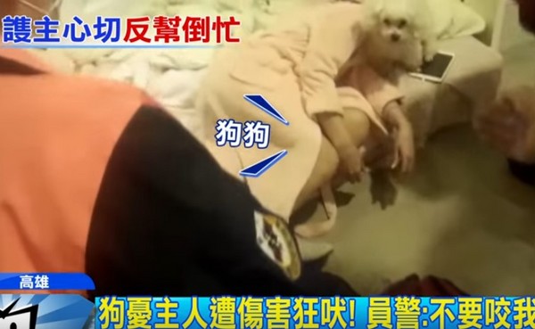 ▲警消救援尋短女，毛小孩護主狂吠險「幫倒忙」。（圖／翻攝中天新聞）