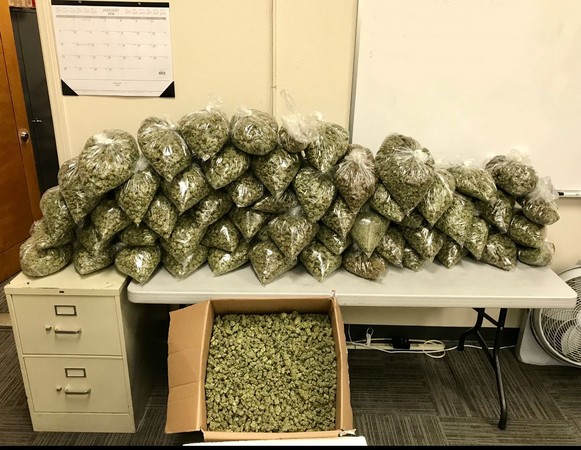 加州雖然能合法種植大麻，但是每戶最多只能種6顆大麻樹！警方在美國洛杉磯艾爾蒙地市（El Monte）一間民宅裡，搜出250顆大麻樹及80磅的收割大麻，市價總值高達20萬美元（約台幣588萬）。（圖／翻攝自El Monte Police Department臉書）