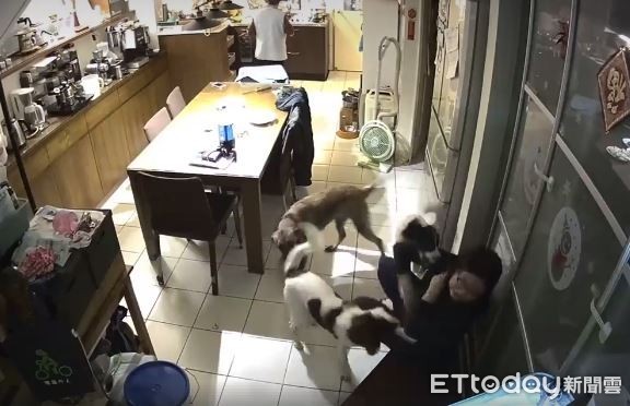 ▲回家衝房間以為躲過暴動　她開門秒被狗群「討債圍堵」嚇趴地。（圖／網友孫鈺婷提供，下同）