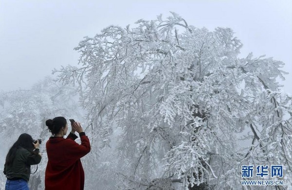 ▲▼湖北省2017年部分山區首迎入冬的第一場降雪。 （圖／新華網）
