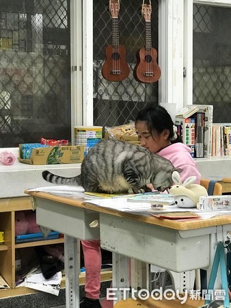 ▲喵督「肥肚壓考卷」不讓改　網揭「陰謀」：被學生賄賂齁！。（圖／喵嗚.督學粉絲專頁提供）