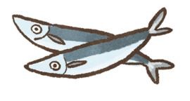 優質蛋白質推薦　腎臟病毛孩安心吃（圖／毛起來 MaoUp）