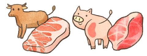 優質蛋白質推薦　腎臟病毛孩安心吃（圖／毛起來 MaoUp）