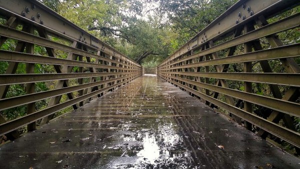 ▲雨季登山健行。（圖／攝影者：Joe Diaz, Flickr CC License）