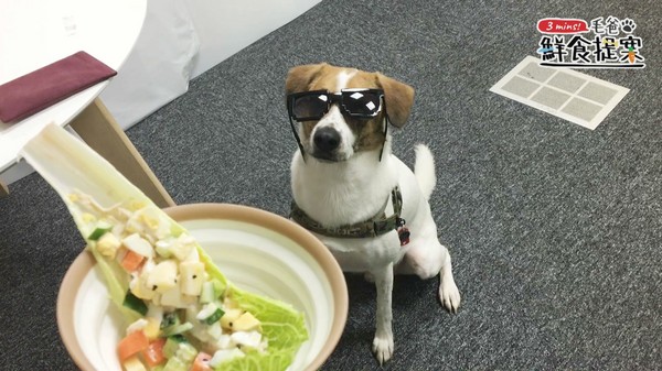 【毛爸鮮食提案】滿載酸甜好心情～嫩雞彩蔬沙拉船（圖／毛起來 MaoUp）