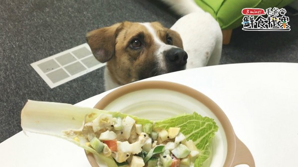 【毛爸鮮食提案】滿載酸甜好心情～嫩雞彩蔬沙拉船（圖／毛起來 MaoUp）