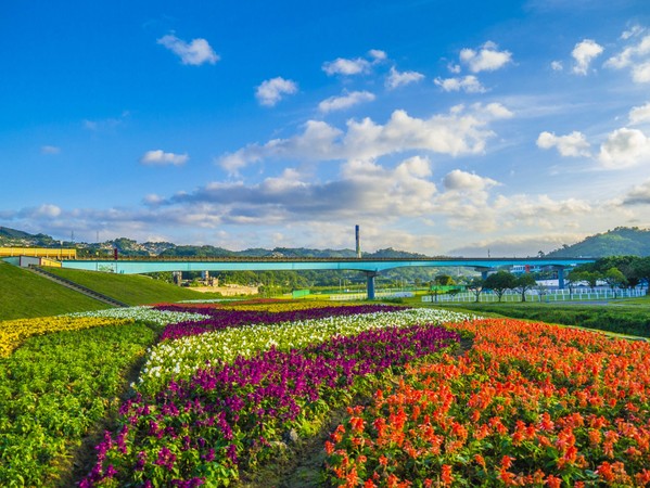 ▲台北市河濱花海。（圖／台北市政府提供）