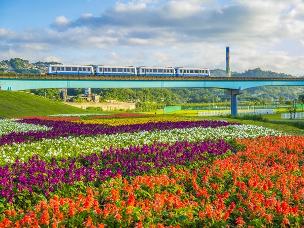 ▲台北市河濱花海。（圖／台北市政府提供）