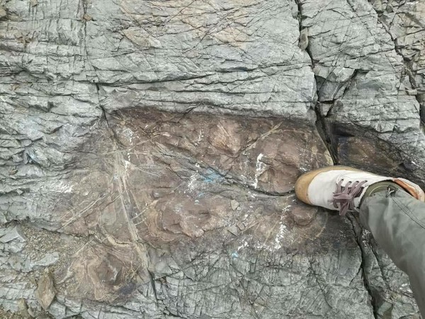 ▲玻利維亞發現如同巨人般的腳印足跡。（圖／取自臉書／OmgBolivia）