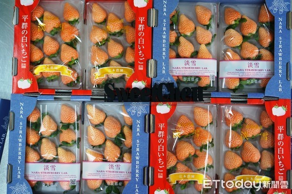 ▲日本奈良縣空運直送、夢幻極品的淡雪草莓。(圖／Sweet Chen提供)