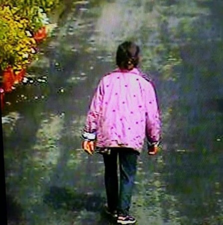 路口監視器拍攝到上週五老婦離家身影。（消防局提供）