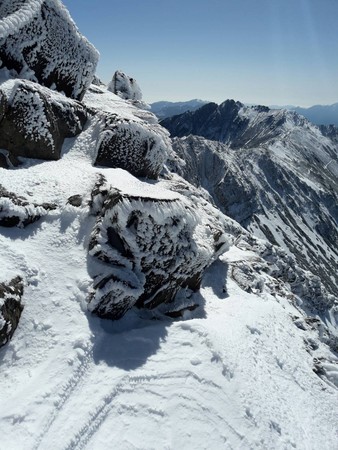 ▲▼ 寒流發威，玉山降雪冰封變身銀白世界。（圖／玉管處提供）