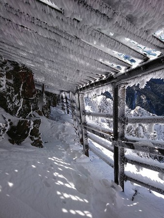 ▲▼ 寒流發威，玉山降雪冰封變身銀白世界。（圖／玉管處提供）